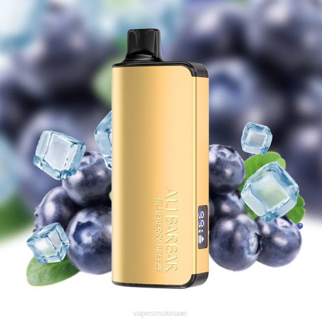 Vape Abu Dhabi - Alibarbar Ingot 20000 سيجارة للاستعمال مرة واحدة نسيم التوت LR4432