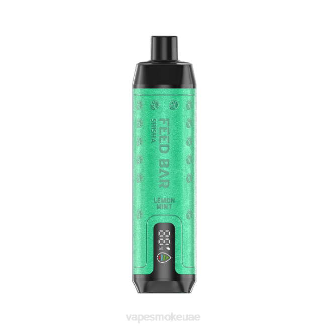 Vape Abu Dhabi - Vapsolo SHISHA vape القابل للتصرف ليمون نعناع LR44119