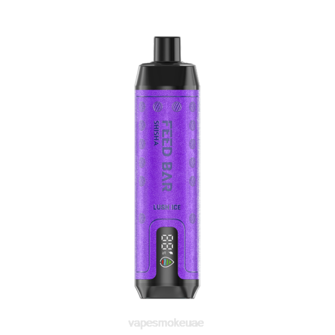 Vape Smoke - Vapsolo SHISHA vape القابل للتصرف الجليد الخصب LR44120