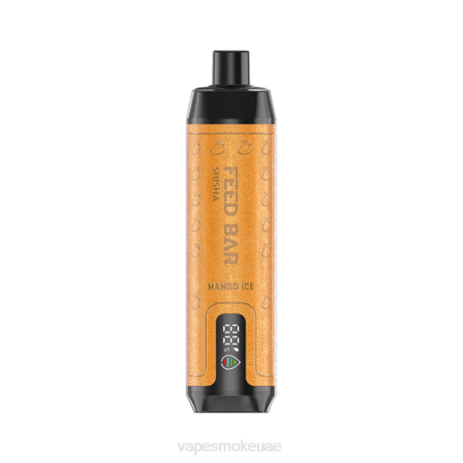 Vape Uae - Vapsolo SHISHA vape القابل للتصرف جليد المانجو LR44121