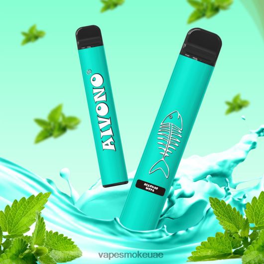 Vape Abu Dhabi - نعناع بارد Aivono AIM FISHBONE 600 RR4PBP278