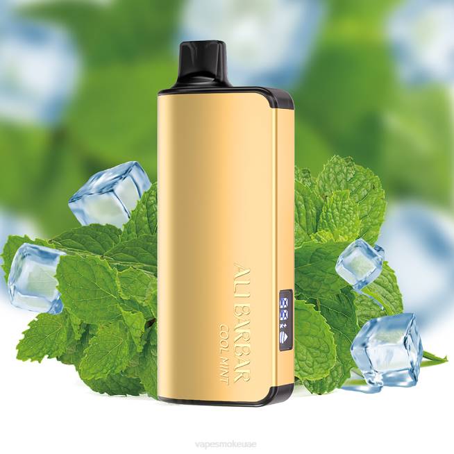 Vape Smoke - Alibarbar Ingot 9000 سيجارة يمكن التخلص منها نعناع بارد LR4418