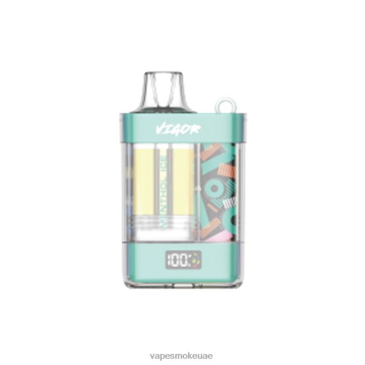 Vape Abu Dhabi - جليد المنثول 8T6662 LAVIE VIGOR 15000 نفث