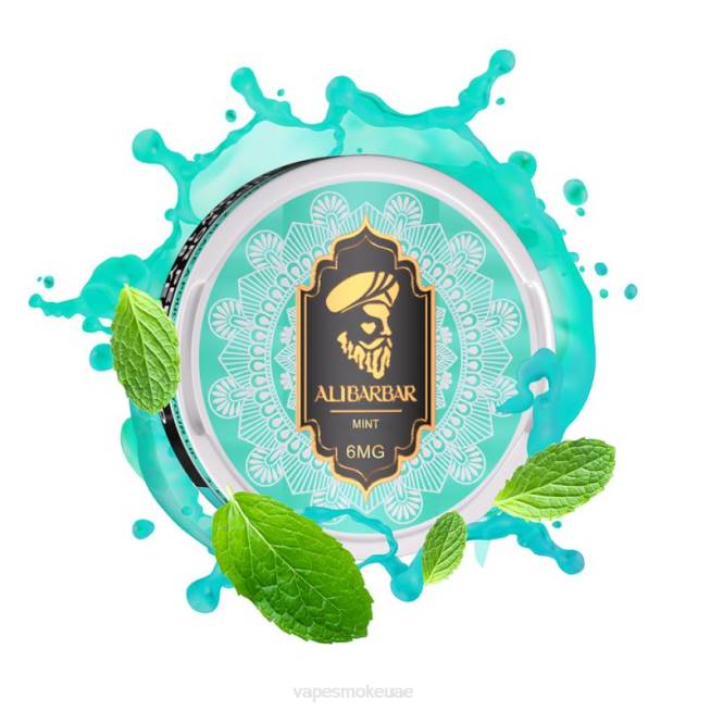 Vape Abu Dhabi - Alibarbar أكياس النيكوتين نعناع LR4489