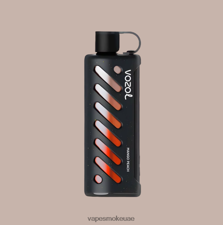 Vape Abu Dhabi - VOZOL جير الشيشة 25000 6JRZ8P1