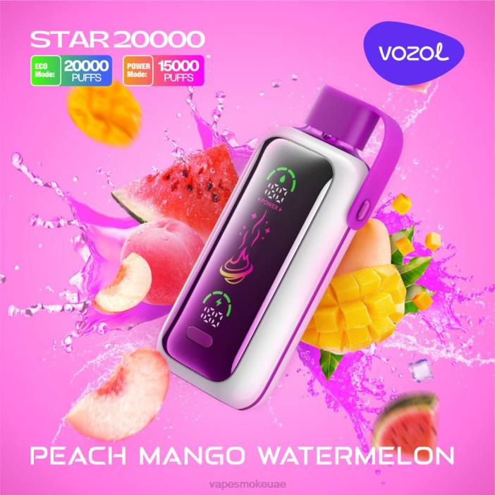 Vape Pod Kits - الخوخ والمانجو والبطيخ VOZOL STAR 20000 DPLJ16