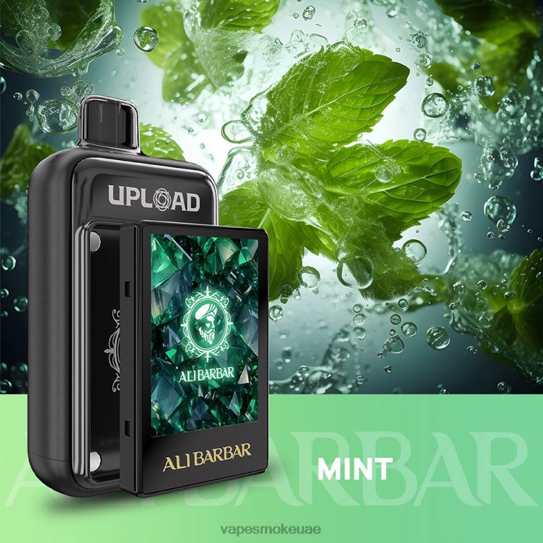 Vape Smoke - نعناع 4P48624 Alibarbar رفع