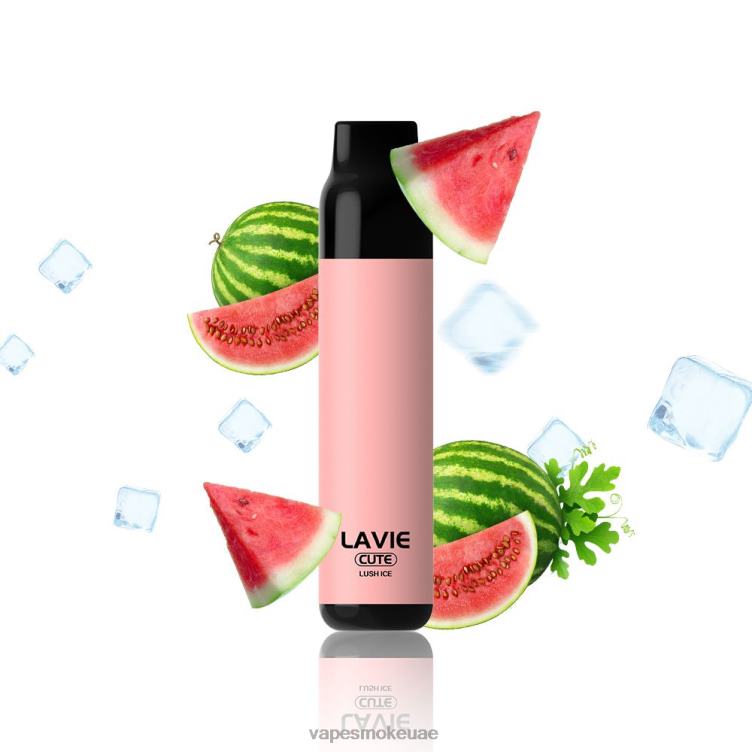 Vape Smoke - الجليد الخصب 8T666285 LAVIE BAR 3000 نفث