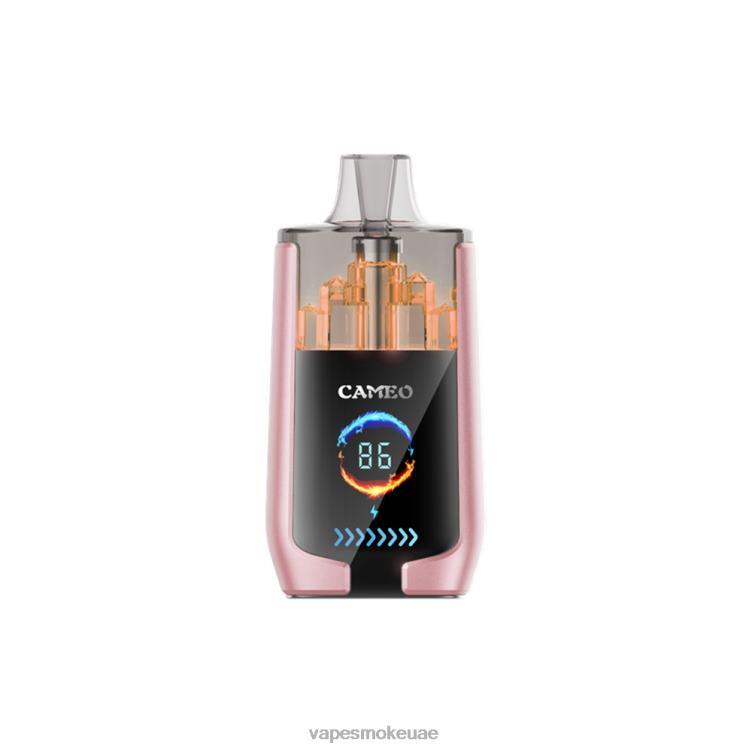 Vape Uae - الفاكهة الاستوائية 8T66619 LAVIE CAMEO 30000 نفث