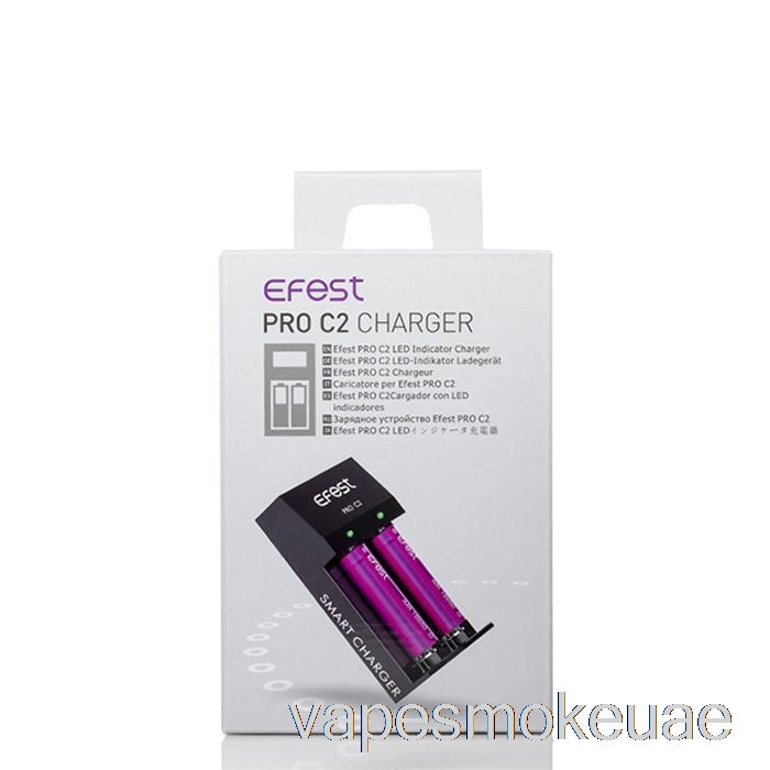 Vape Uae Efest Pro C2 شاحن البطارية الذكي ذو 2 خليج